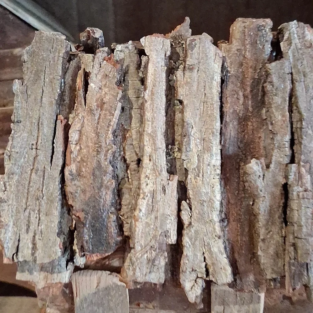 Primitive Grungy Cabin - Picture 3 of 4